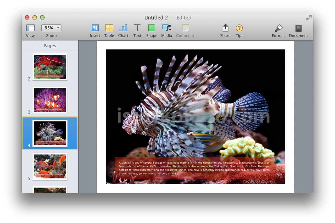 A multi-page Pages document containing the imported image files.