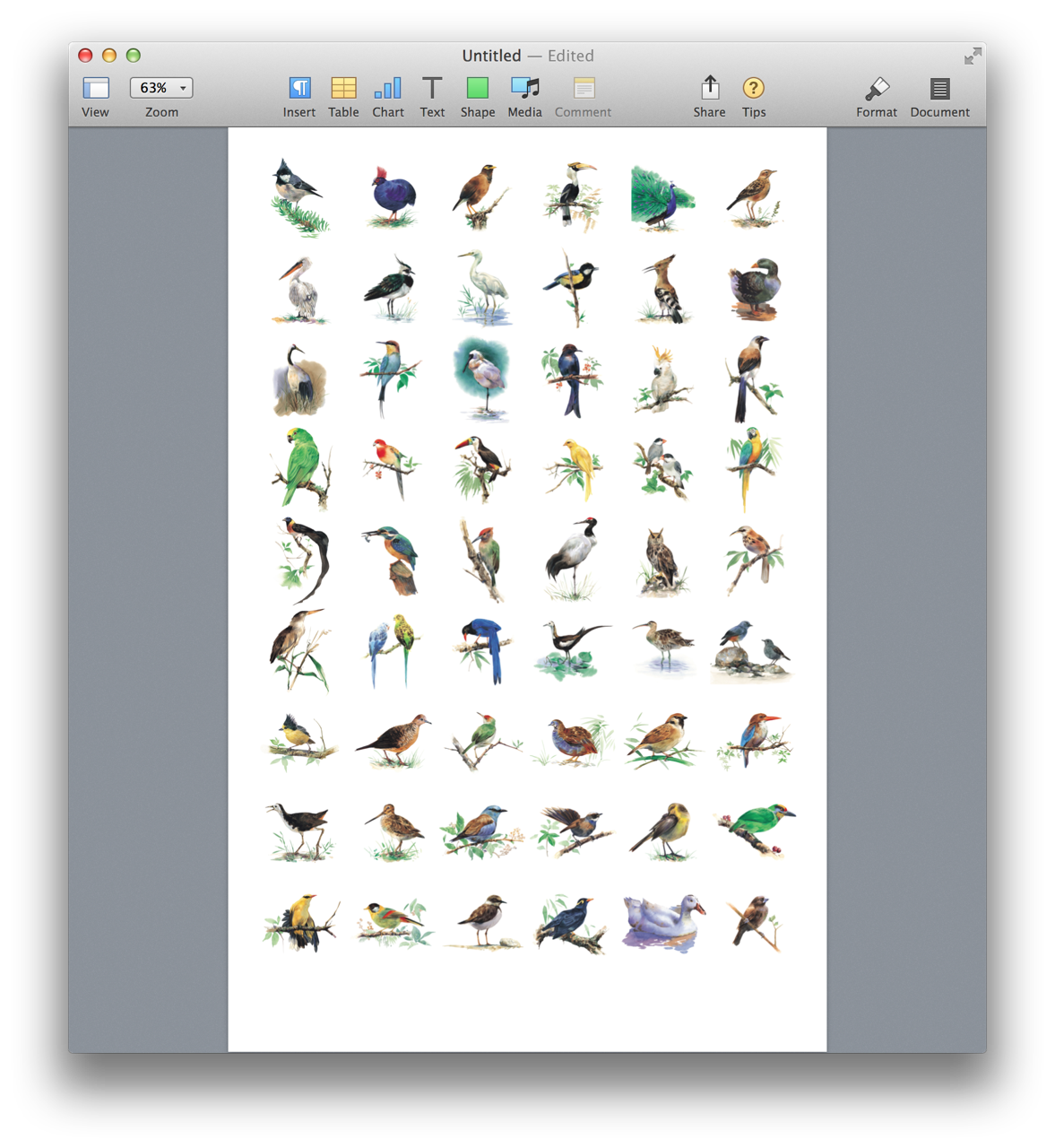 A Pages tabloid document containing rows of square thumbnails of photos from a chosen iPhoto album.
